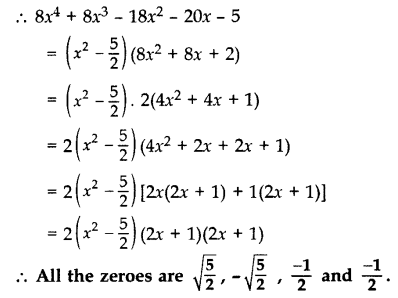 Important Questions for Class 10 Maths Chapter 2 Polynomials 22