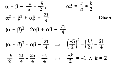 Important Questions for Class 10 Maths Chapter 2 Polynomials 24