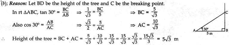 MCQ Questions for Class 10 Maths Application of Trigonometry with Answers 16