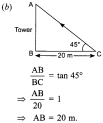 MCQ Questions for Class 10 Maths Application of Trigonometry with Answers 22