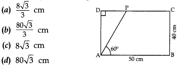MCQ Questions for Class 10 Maths Application of Trigonometry with Answers 4