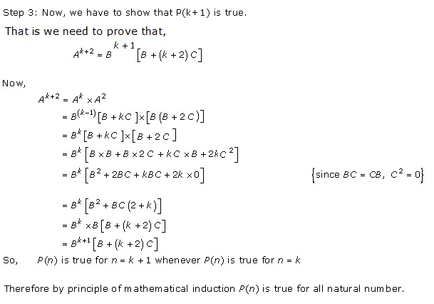 RD Sharma Class 12 Solutions Chapter 5 Algebra of Matrices Ex 5.3 Q56-iii