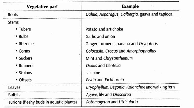 important-questions-for-class-12-biology-cbse-reproduction-q-2jpg_Page1