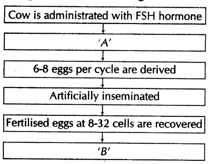 important-questions-for-class-12-biology-cbse-animal-husbandry-t1-2mq-9jpg_Page1