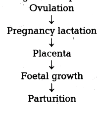 important-questions-for-class-12-biology-cbse-fertilisation-pregnancy-and-embryonic-development-t-33-6