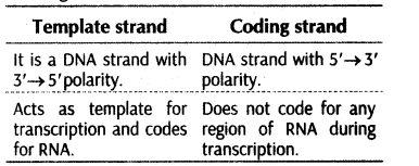 important-questions-for-class-12-biology-cbse-the-dna-and-rna-world-t-6-28