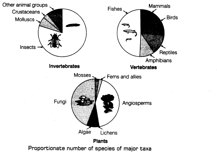 important-questions-for-class-12-biology-cbse-biodiversity-01