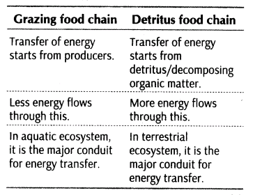 important-questions-for-class-12-biology-cbse-energy-flow-and-ecological-succession-t-14-6