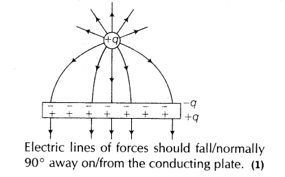 important-questions-for-class-12-physics-cbse-coulombs-law-electrostatic-field-and-electric-dipole-t-1-55