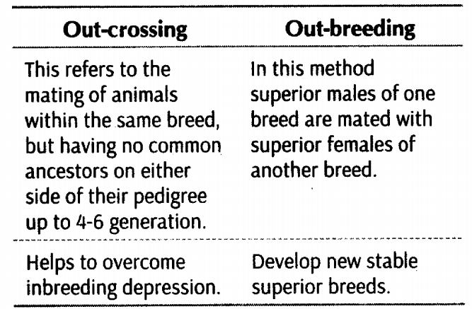 important-questions-for-class-12-biology-cbse-animal-husbandry-t1-2mq-8jpg_Page1