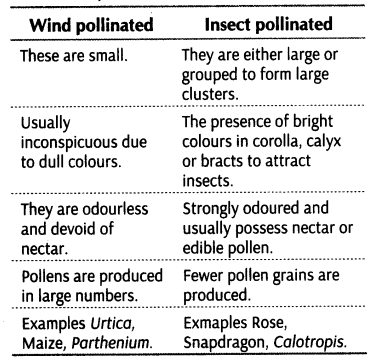 important-questions-for-class-12-biology-cbse-pollination-t-22-3