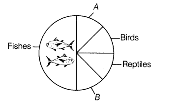 important-questions-for-class-12-biology-cbse-biodiversity-q1