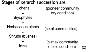 important-questions-for-class-12-biology-cbse-energy-flow-and-ecological-succession-t-14-17