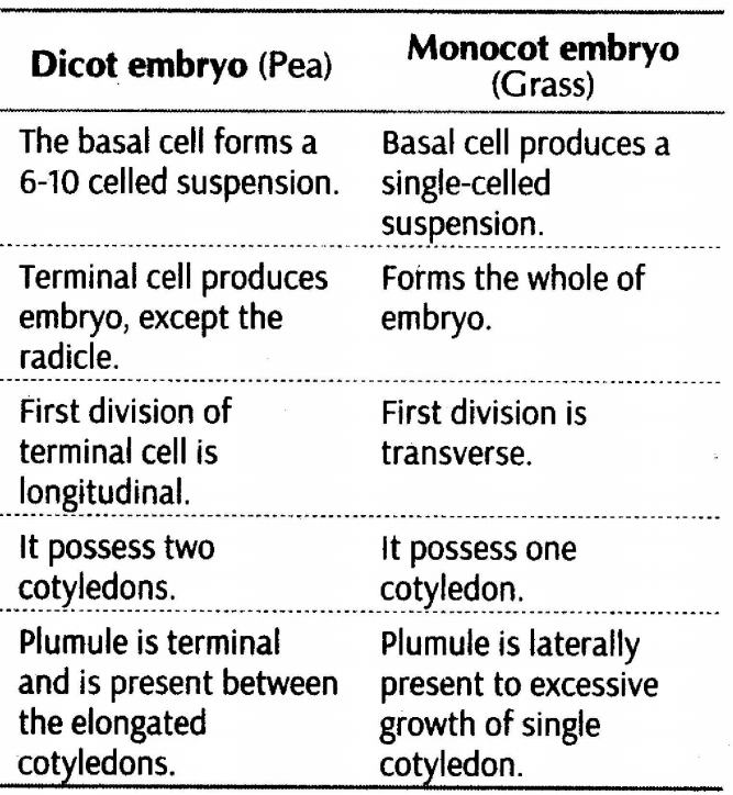 important-questions-for-class-12-biology-cbse-post-fertilisation-structures-and-events-q-2jpg_Page1