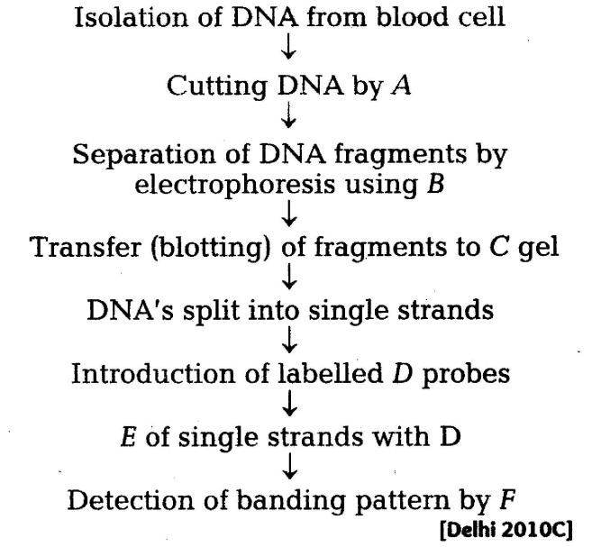 important-questions-for-class-12-biology-cbse-genetic-code-human-genome-project-and-dna-fingerprinting-q-4jpg_Page1