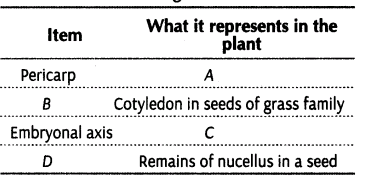 important-questions-for-class-12-biology-cbse-post-fertilisation-structures-and-events-t-23-0