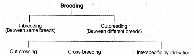 important-questions-for-class-12-biology-cbse-animal-husbandry-image 1jpg_Page1