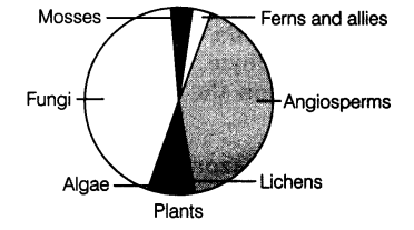 important-questions-for-class-12-biology-cbse-biodiversity-q21
