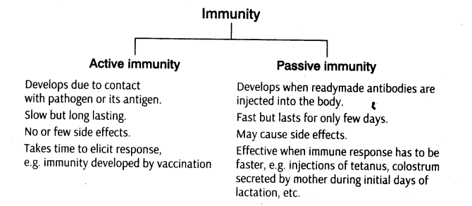 important-questions-for-class-12-biology-cbse-health-common-diseases-in-human-and-immunity-t-8-4