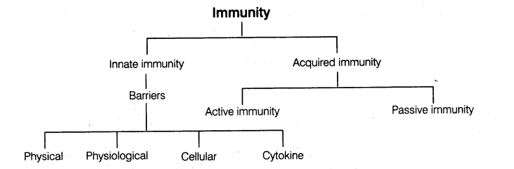 important-questions-for-class-12-biology-cbse-health-common-diseases-in-human-and-immunity-t-8-2