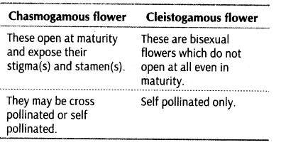 important-questions-for-class-12-biology-cbse-pollination-t-22-2