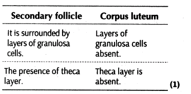important-questions-for-class-12-biology-cbse-gametogenesis-t-32-20