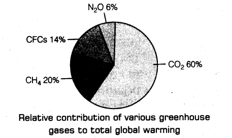 important-questions-for-class-12-biology-cbse-greenhouse-effect-ozone-depletion-and-deforestation-2