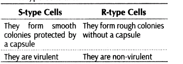 important-questions-for-class-12-biology-cbse-the-dna-and-rna-world-t-6-37