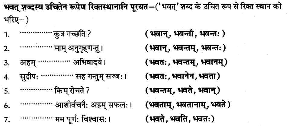 ncert-solutions-for-class-8th-sanskrit-chapter-3-shabdhrupani-13