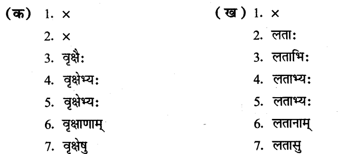 ncert-solutions-for-class-8th-sanskrit-chapter-4-shabdhrupani-3