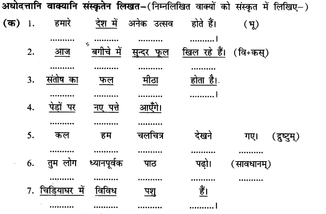 ncert-solutions-for-class-8th-sanskrit-chapter-8-anuvaad-7