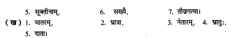 ncert-solutions-for-class-8th-sanskrit-chapter-3-shabdhrupani-12