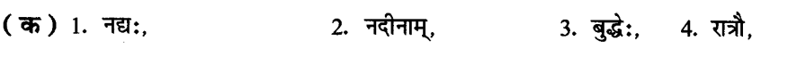 ncert-solutions-for-class-8th-sanskrit-chapter-4-shabdhrupani-11