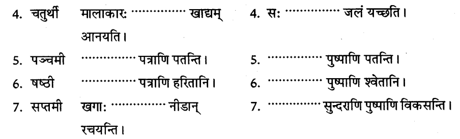 ncert-solutions-for-class-8th-sanskrit-chapter-4-shabdhrupani-2