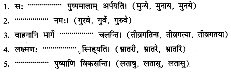 ncert-solutions-for-class-8th-sanskrit-chapter-3-shabdhrupani-15