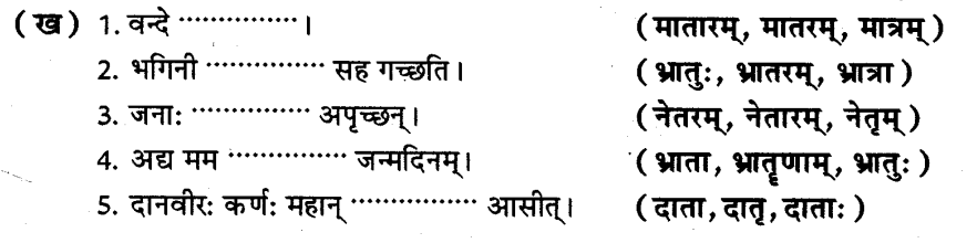 ncert-solutions-for-class-8th-sanskrit-chapter-4-shabdhrupani-10