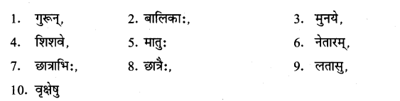 ncert-solutions-for-class-8th-sanskrit-chapter-8-anuvaad-2