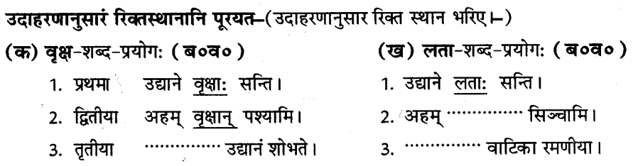 ncert-solutions-for-class-8th-sanskrit-chapter-4-shabdhrupani-1