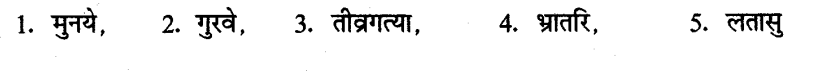 ncert-solutions-for-class-8th-sanskrit-chapter-3-shabdhrupani-16