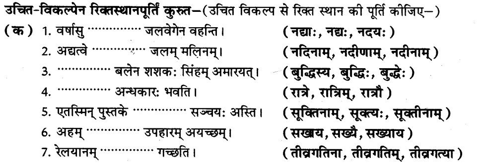 ncert-solutions-for-class-8th-sanskrit-chapter-3-shabdhrupani-9