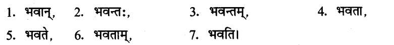 ncert-solutions-for-class-8th-sanskrit-chapter-3-shabdhrupani-14