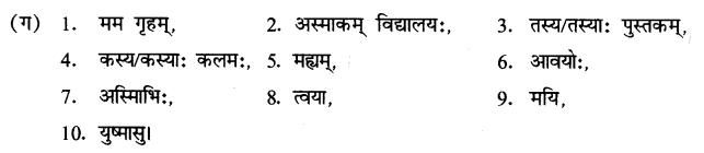 ncert-solutions-for-class-8th-sanskrit-chapter-8-anuvaad-6