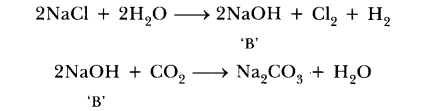 ncert-exemplar-problems-for-class-10-science-chapter-2-acids-bases-and-salts-7