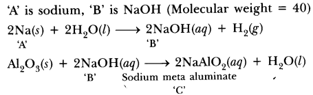 ncert-exemplar-class-10-science-chapter-3-metals-and-non-metals-6 (2)