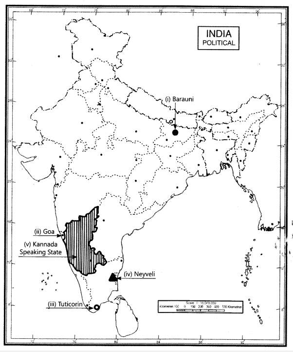 cbse-class-12-geography-sample-paper-solutions-set-5-3