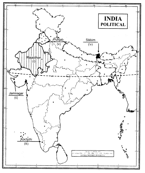 cbse-class-12-geography-sample-paper-solutions-set-8-3
