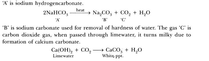 ncert-exemplar-problems-for-class-10-science-chapter-2-acids-bases-and-salts-3