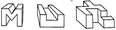 ncert-exemplar-problems-class-8-mathematics-visualising-solid-shapes-75