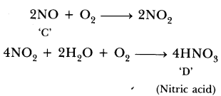 ncert-exemplar-class-10-science-chapter-3-metals-and-non-metals-7 (2)