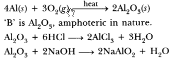 ncert-exemplar-class-10-science-chapter-3-metals-and-non-metals-1